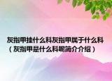 灰指甲挂什么科灰指甲属于什么科（灰指甲是什么科呢简介介绍）
