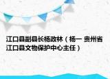 江口县副县长杨政林（杨一 贵州省江口县文物保护中心主任）