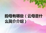 韵母有哪些（云母是什么简介介绍）
