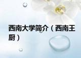 西南大学简介（西南王厨）