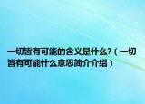 一切皆有可能的含义是什么?（一切皆有可能什么意思简介介绍）