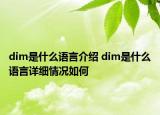 dim是什么语言介绍 dim是什么语言详细情况如何