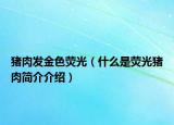 猪肉发金色荧光（什么是荧光猪肉简介介绍）
