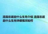 流莲忘返是什么生肖介绍 流莲忘返是什么生肖详细情况如何