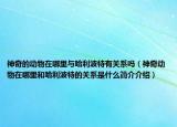 神奇的动物在哪里与哈利波特有关系吗（神奇动物在哪里和哈利波特的关系是什么简介介绍）