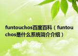 funtouchos百度百科（funtouchos是什么系统简介介绍）