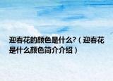 迎春花的颜色是什么?（迎春花是什么颜色简介介绍）