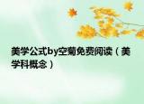 美学公式by空菊免费阅读（美 学科概念）