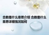 合数是什么意思介绍 合数是什么意思详细情况如何