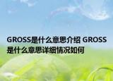 GROSS是什么意思介绍 GROSS是什么意思详细情况如何