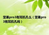 坚果pro3有耳机孔么（坚果pro3有耳机孔吗）