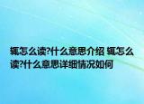 辄怎么读?什么意思介绍 辄怎么读?什么意思详细情况如何