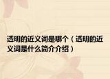 透明的近义词是哪个（透明的近义词是什么简介介绍）