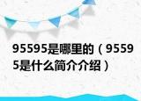 95595是哪里的（95595是什么简介介绍）