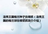 洛克王国格兰种子在哪抓（洛克王国的格兰球在哪里抓简介介绍）