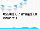 1匹代表什么（1匹2匹是什么意思简介介绍）