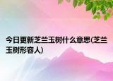 今日更新芝兰玉树什么意思(芝兰玉树形容人)