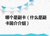 哪个是副卡（什么是副卡简介介绍）
