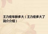 王力宏年龄多大（王力宏多大了简介介绍）