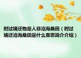 时过境迁物是人非沧海桑田（时过境迁沧海桑田是什么意思简介介绍）