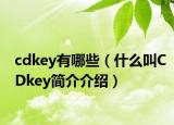 cdkey有哪些（什么叫CDkey简介介绍）