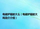 电磁炉辐射大么（电磁炉辐射大吗简介介绍）