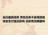 当日最新消息 京东白条不能用微信或者支付宝还款吗 还款有宽限期吗