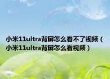 小米11ultra背屏怎么看不了视频（小米11ultra背屏怎么看视频）