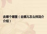 去哪个哪里（去哪儿怎么样简介介绍）