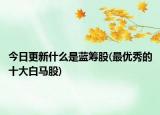 今日更新什么是蓝筹股(最优秀的十大白马股)