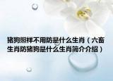 猪狗照样不用防是什么生肖（六畜生肖防猪狗是什么生肖简介介绍）