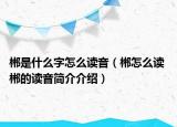 郴是什么字怎么读音（郴怎么读 郴的读音简介介绍）