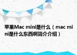 苹果Mac mini是什么（mac mini是什么东西啊简介介绍）