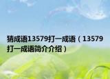 猜成语13579打一成语（13579打一成语简介介绍）