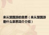 来从楚国游的意思（来从楚国游是什么意思简介介绍）