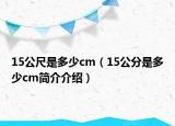 15公尺是多少cm（15公分是多少cm简介介绍）