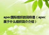 apec国际组织的简称是（apec属于什么组织简介介绍）