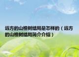 远方的山楂树结局是怎样的（远方的山楂树结局简介介绍）