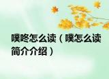 噗咚怎么读（噗怎么读简介介绍）