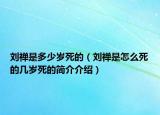 刘禅是多少岁死的（刘禅是怎么死的几岁死的简介介绍）