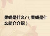 果蝇是什么?（果蝇是什么简介介绍）