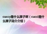 cuccy是什么牌子啊（cucci是什么牌子简介介绍）