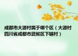 成都市大源村属于哪个区（大源村 四川省成都市武候区下辖村）