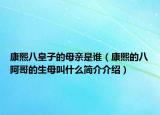 康熙八皇子的母亲是谁（康熙的八阿哥的生母叫什么简介介绍）