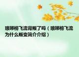琅琊榜飞流背叛了吗（琅琊榜飞流为什么叛变简介介绍）