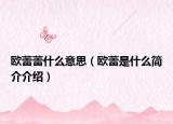 欧蕾蕾什么意思（欧蕾是什么简介介绍）