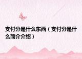 支付分是什么东西（支付分是什么简介介绍）