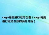 csgo完美通行证怎么看（csgo完美通行证怎么获得简介介绍）
