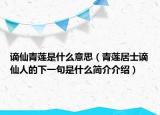 谪仙青莲是什么意思（青莲居士谪仙人的下一句是什么简介介绍）