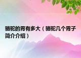 骆驼的胃有多大（骆驼几个胃子简介介绍）